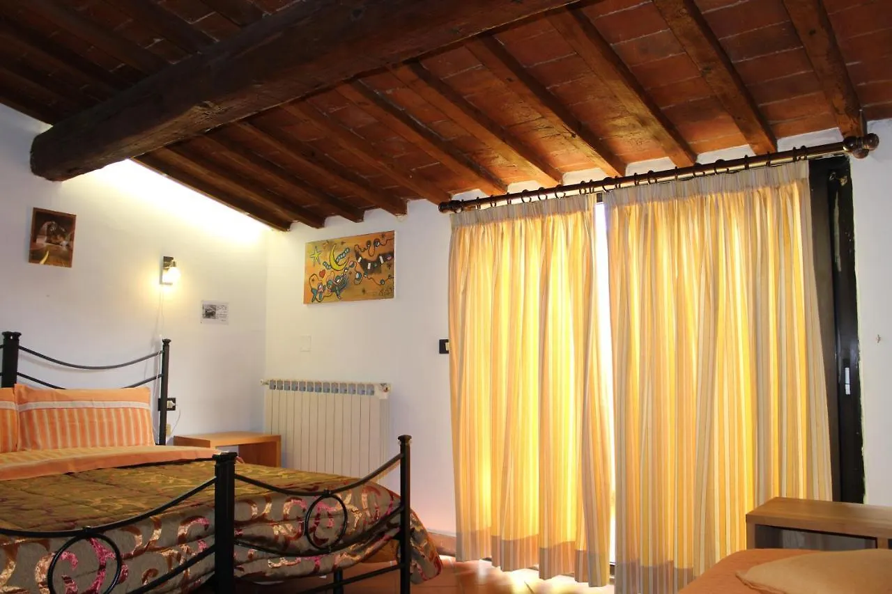 Zmax Zanobi Studios Florença Itália